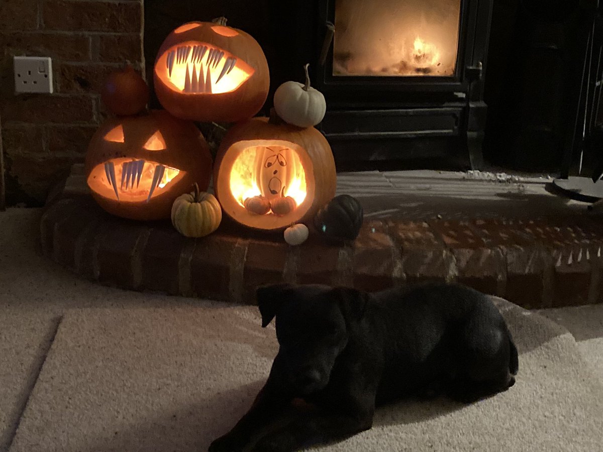 Coleby PYO Pumpkins tweet media