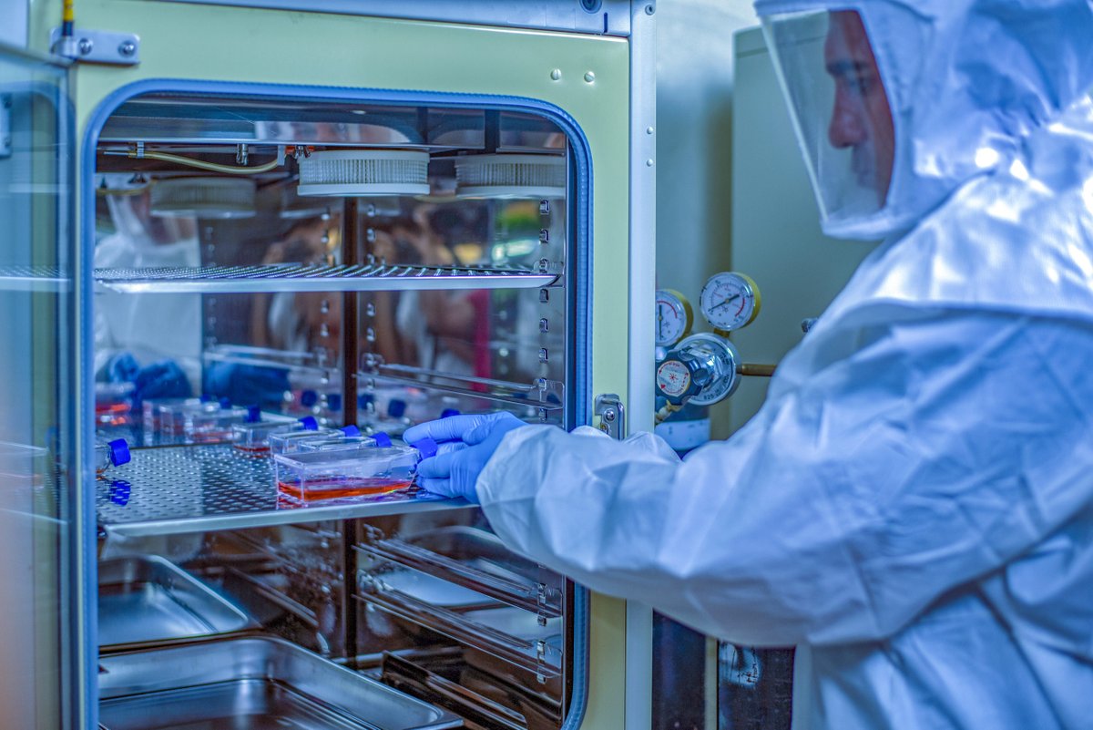 VirusMED Database Offered to Speed Development of Antiviral Drugs and Vaccines

A new database organizes and annotates major points of interest on a virus that scientists can use as a roadmap in drug and vaccine development. Learn more: ow.ly/TaeN50Gjqak