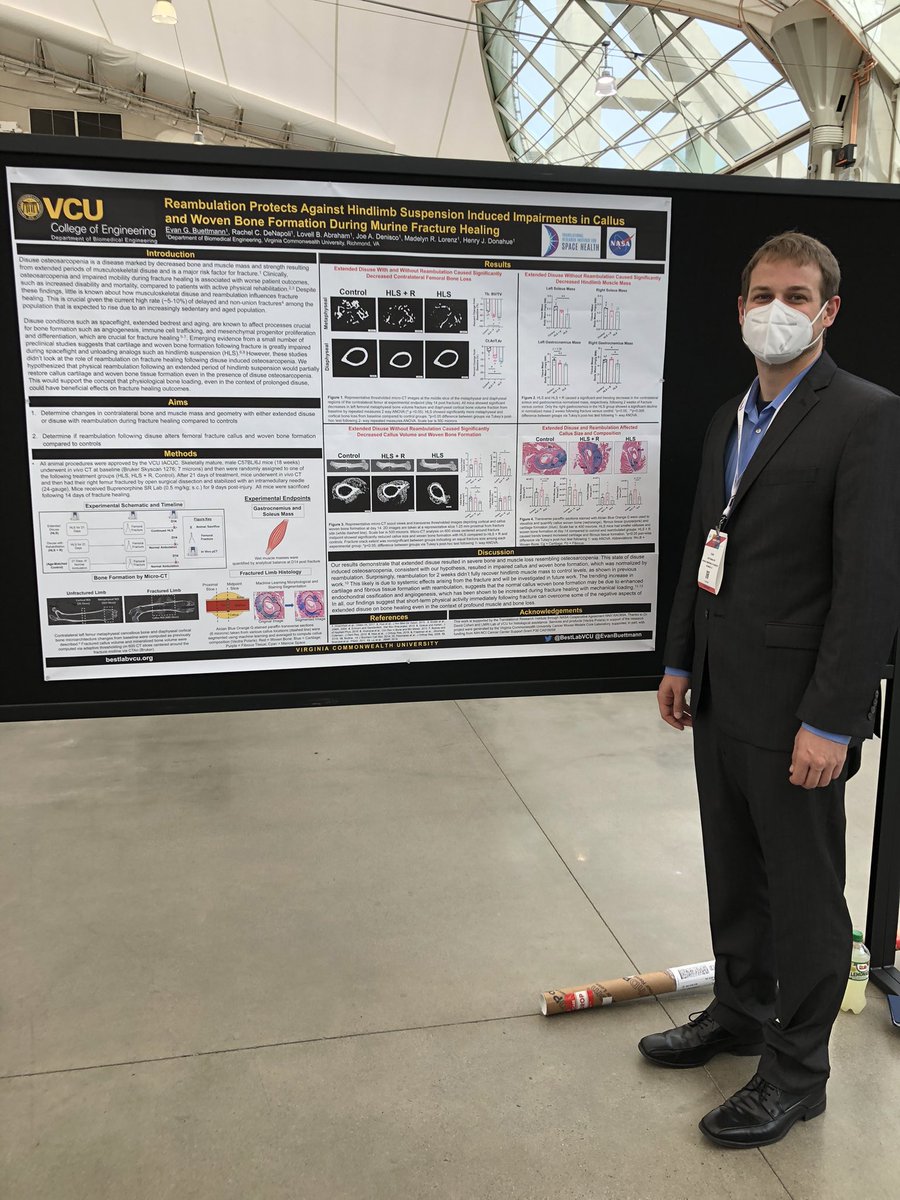 EvanBuettmann's tweet photo. Want to learn more about how disuse and rehabilitation affect fracture healing? I’m ready to chat today at poster #103 about my @BCMSpaceHealth sponsored work at #ASBMR2021! @VCU_BME #orthoreseach #spacehealth https://t.co/ZhhzIwHvra
