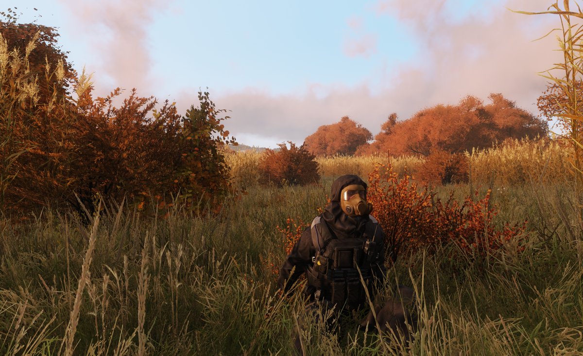 My earlier screenshot spawned a rather nice and season approriate side product: fall Livonia.🍂
(i.e. quick retexture of all Enoch deciduous vegetation)
#Arma3