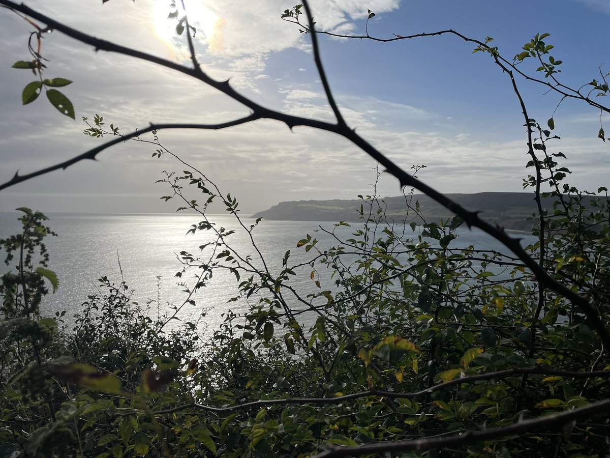 EJ_Kisby's tweet photo. Fantastic weekend with @SelbyHighPE @SelbyHigh  for DofE. Good Lord, it rained but still, a brilliant weekend. A few pictures attached of when it was at its finest! https://t.co/rX4OrqcOLc