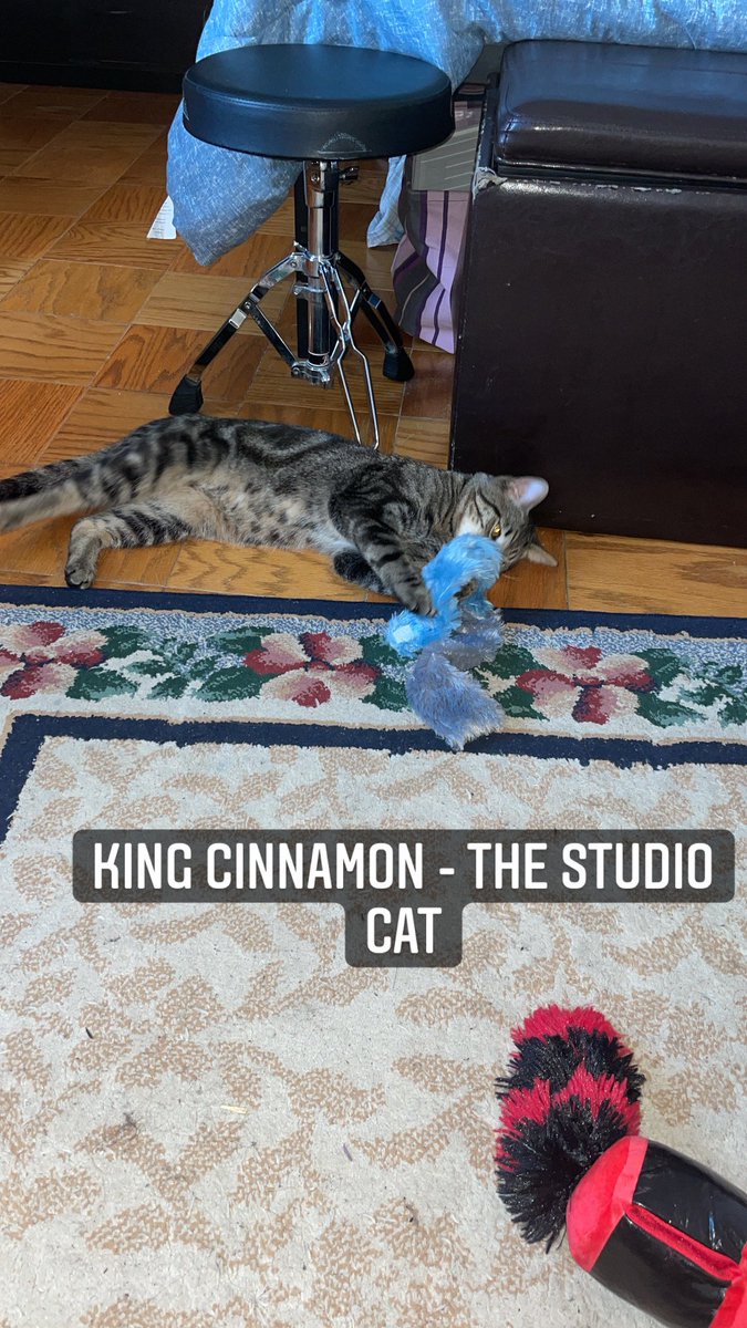 LSSDaily's tweet image. The newest addition to our studio