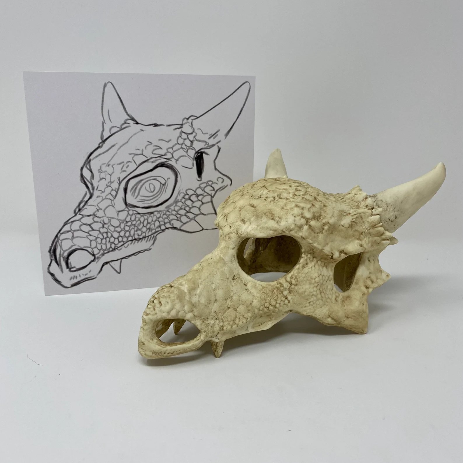 RJ Palmer 在Twitter 上："So I designed a realistic Cubone skull for and they went ahead and made the thing. Its so cool to have one on my desk It