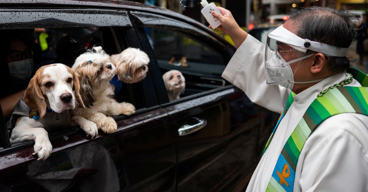 Reuters's tweet photo. Philippines pets receive blessings in drive-through ceremony https://t.co/Cb7cd3FAmn https://t.co/PPmocc2rQ3