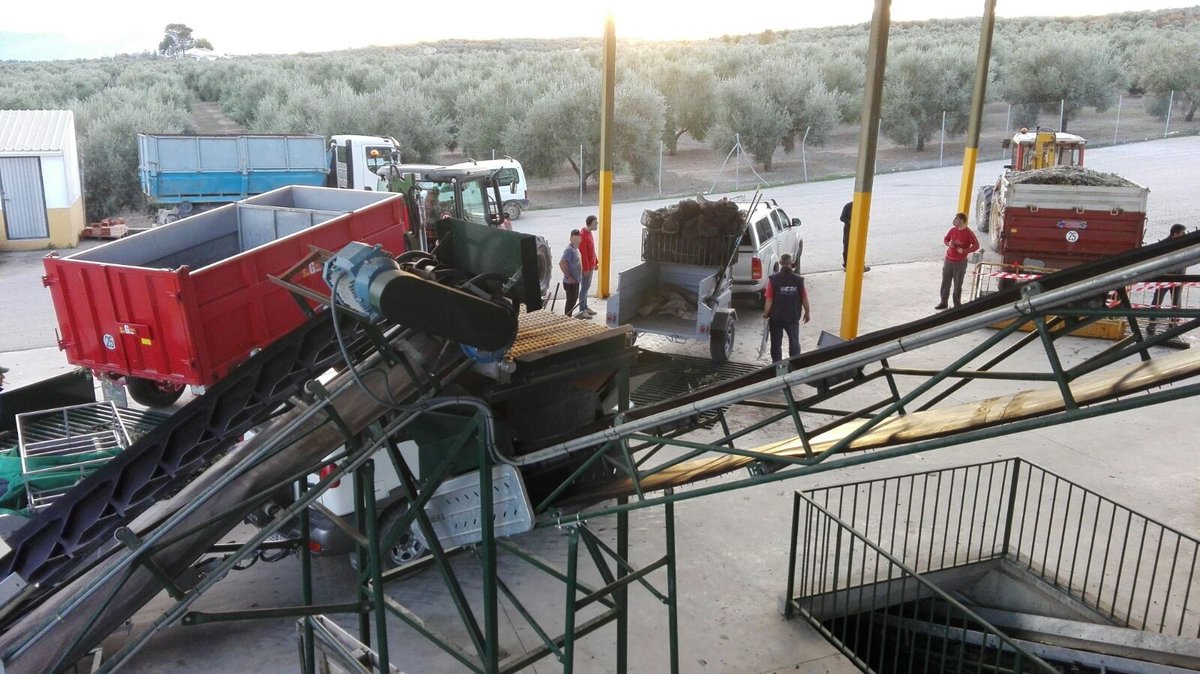 🌿Aceite de oliva Virgen Extra: uno para todos y todos para el patio 
El patio de la #almazara en el proceso de mejora de la calidad de los #AOVE, puede ser el revulsivo que necesitan otros eslabones de la cadena productiva.
olimerca.com/miradaabierta