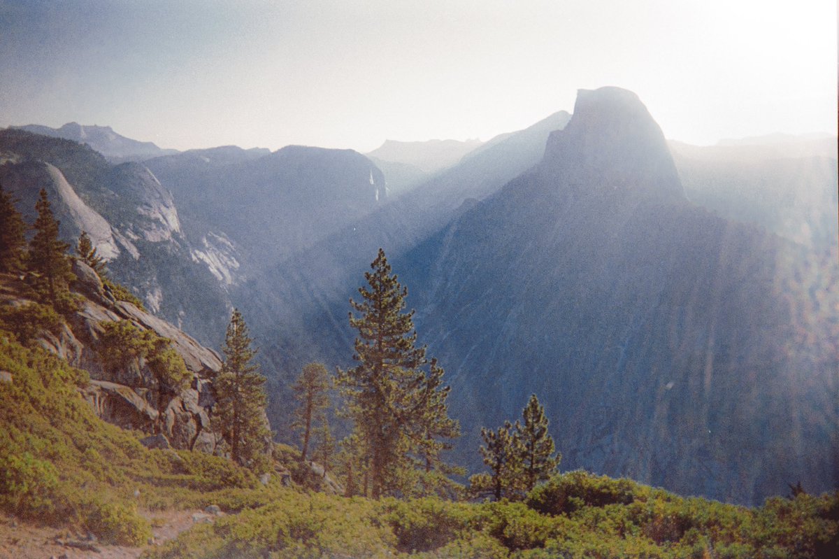 ethanabitz's tweet photo. Yosemite in Summer // shot on a disposable camera https://t.co/sVSLMEKdPc