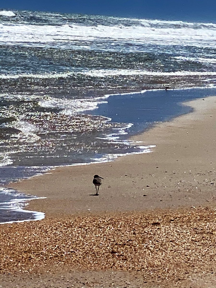 #sundayvibes #beachlife #saltlife South Ponte Vedra Beach,  Florida