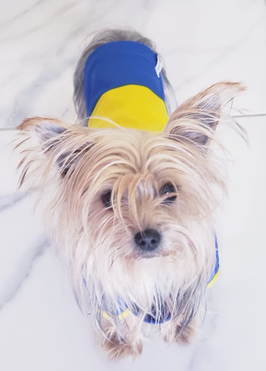 Hermosa tarde en General Pico 🌞.
Acá en la previa con amigos, amigas de Boca y de River, y con “Chispita”.
Quien se anima a arriesgar un resultado ?
Nosotros Boca 1 a 0
#deporteyamigos