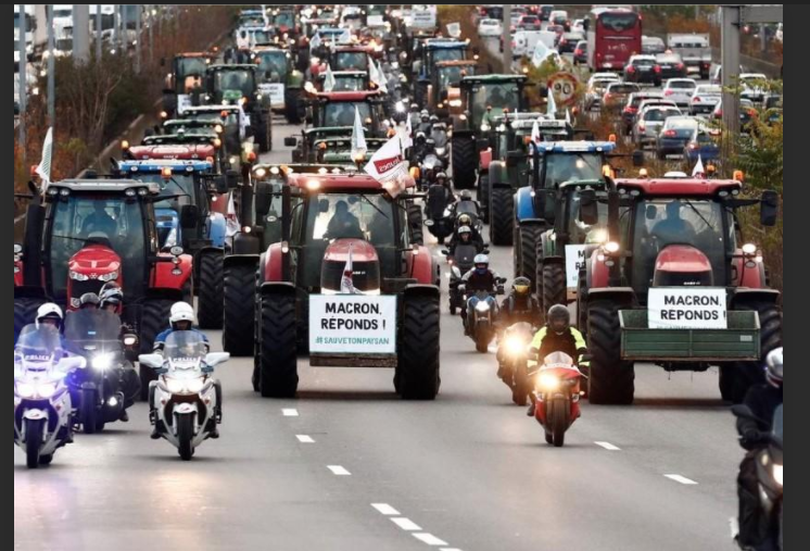 VerityKalcev's tweet photo. @scarlettpeach @BBCr4today He uses words like #Hecatomb to hide his ignorance or disguise his indifference to what's happening in #Farming. 
Where is the #FarmersProtest? 
Here are some French farmers ⬇️
#Marr #LiarJohnson #PigSlaughter @NFUtweets #CPC21 #bbcpm https://t.co/cEX8pQkbSa