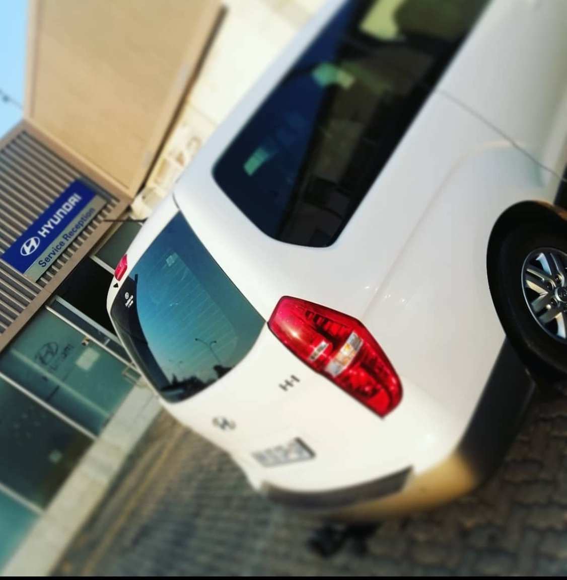 Logitsa1's tweet photo. Asset pampering 

❌❌No compromise❌❌

l #pretoria l #bujy l #betway l #Sundowns l #tourism l #shortleft l https://t.co/qrAQKR4qNA