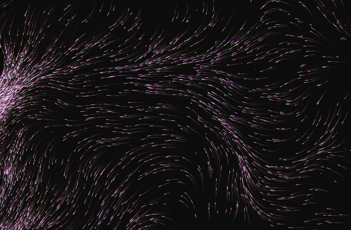 D Ξ generative tweet media
