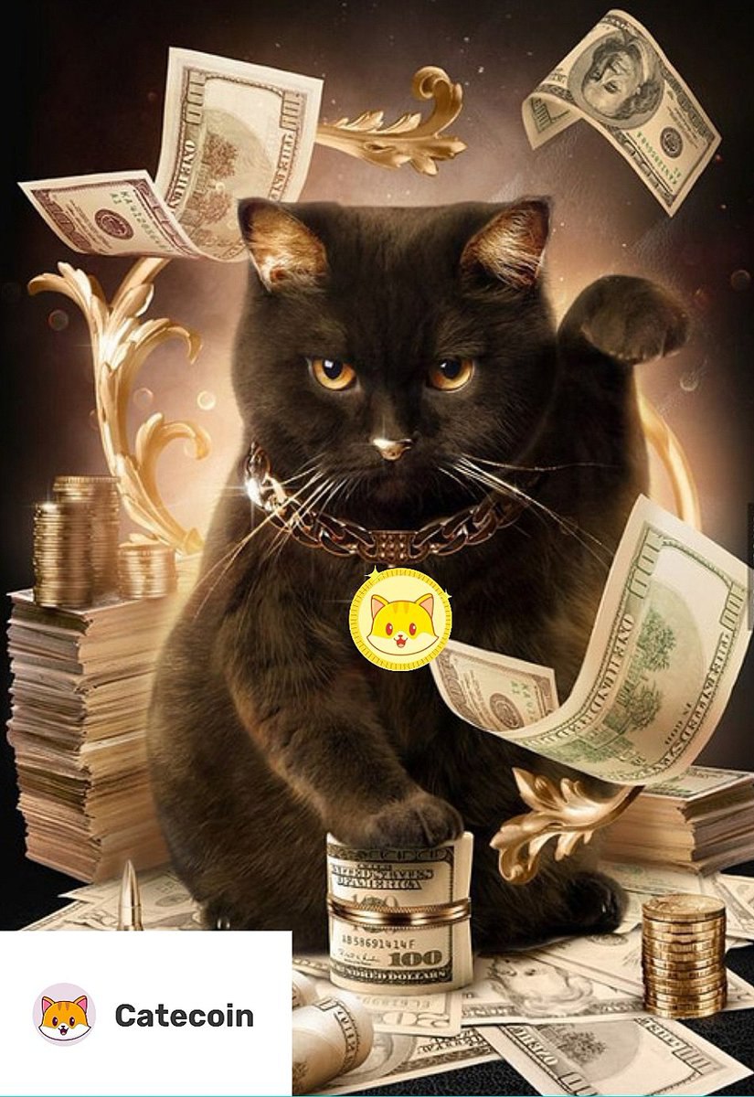mehmet_demir11's tweet photo. It will change many lives!🐈🚀💎🙌🏻
#catecoin #lowcapgems #NFTGaming #memes 
@Trader4lyf @karenTilleyffx @gate_io https://t.co/AhG8IFojxn