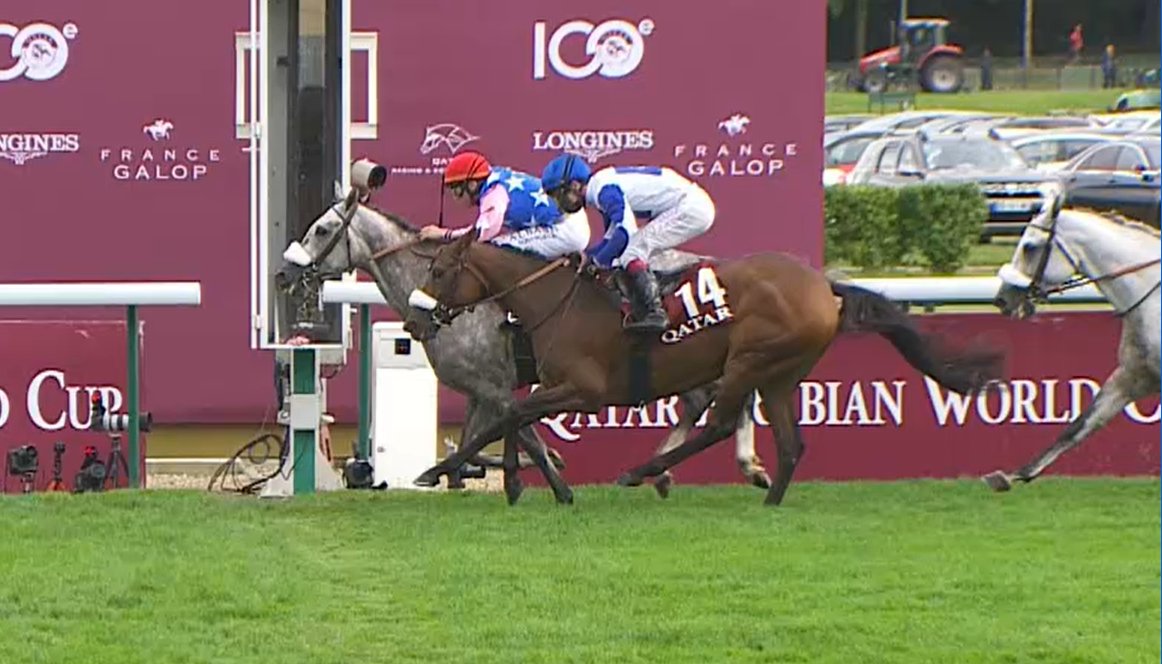 AlKhamsa69's tweet photo. Best 4yrs old this season, Hoggar de l'Ardus wins Qatar Arabian World Cup (Gr1 PA) in front of Lady Princess and Tayf. Well done trainer @tfourcy , jockey @mickaelbarzalon
and breeder @maxencedelardus 👏🏆
#QPAT #QAWC https://t.co/aeiYmR8kvM