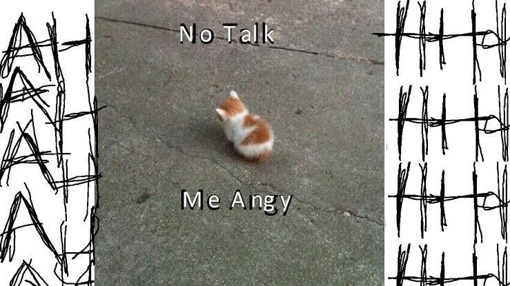 I m don t. Мем no talk i Angy. Don't talk to me im Angry. No talk to me i Angy. Wanting to talk Мем.