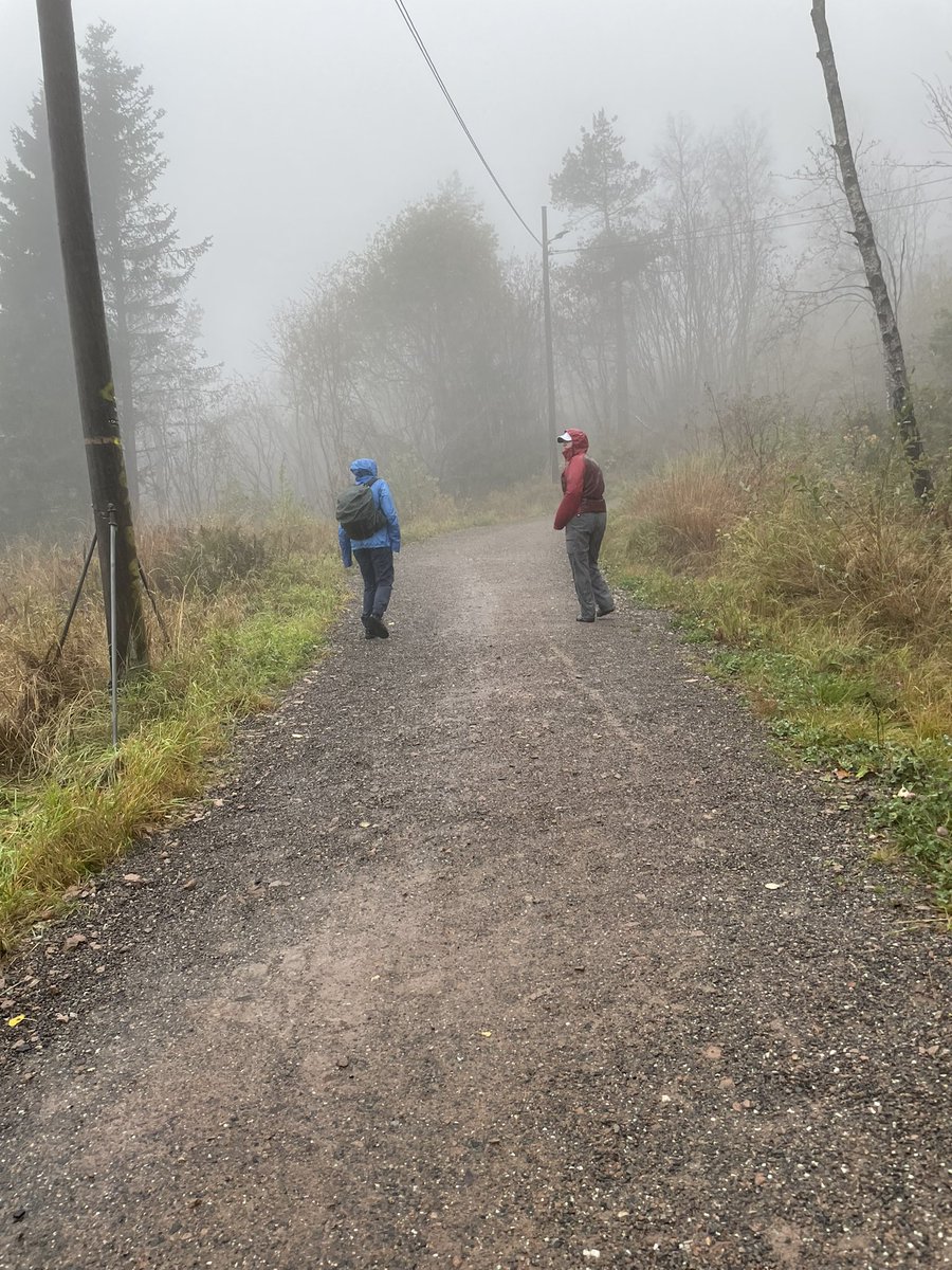 23eyreplace's tweet photo. A quick hike after conference in the hills above Oslo. #EFFO #osteopath #Hike https://t.co/Azh8pErgn7