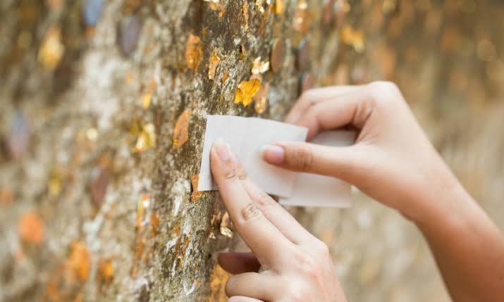 ถ้ามี squid game ไทยจริงๆแล้วมีแข่งอันนี้ ใครปิดทองแล้วทองปลิวหลุด กุตายคนแรก