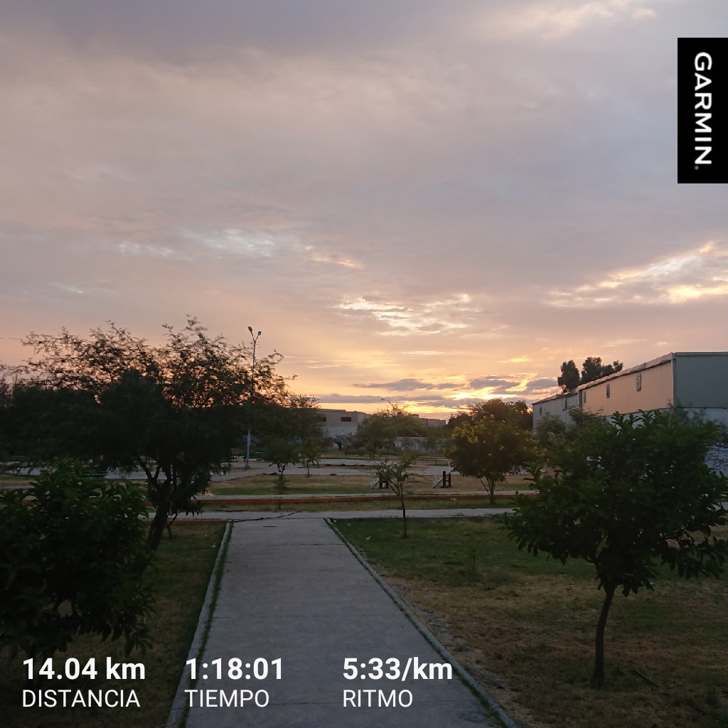 Darth_Homer's tweet photo. Cuando haces los #KmsFelices del dia se nota en tu rostro... Excelente #Domingo correlon!

#YoElegiCorrer #loverunsmile #LosCobardesTeam #LonelyRunnerTeam #RetoModelo #CannotStopRunning #RunningSunday #EXATECRun #ILoveRun #RoadToMarathon 🏃🏽 https://t.co/tDZbC8Qeo6