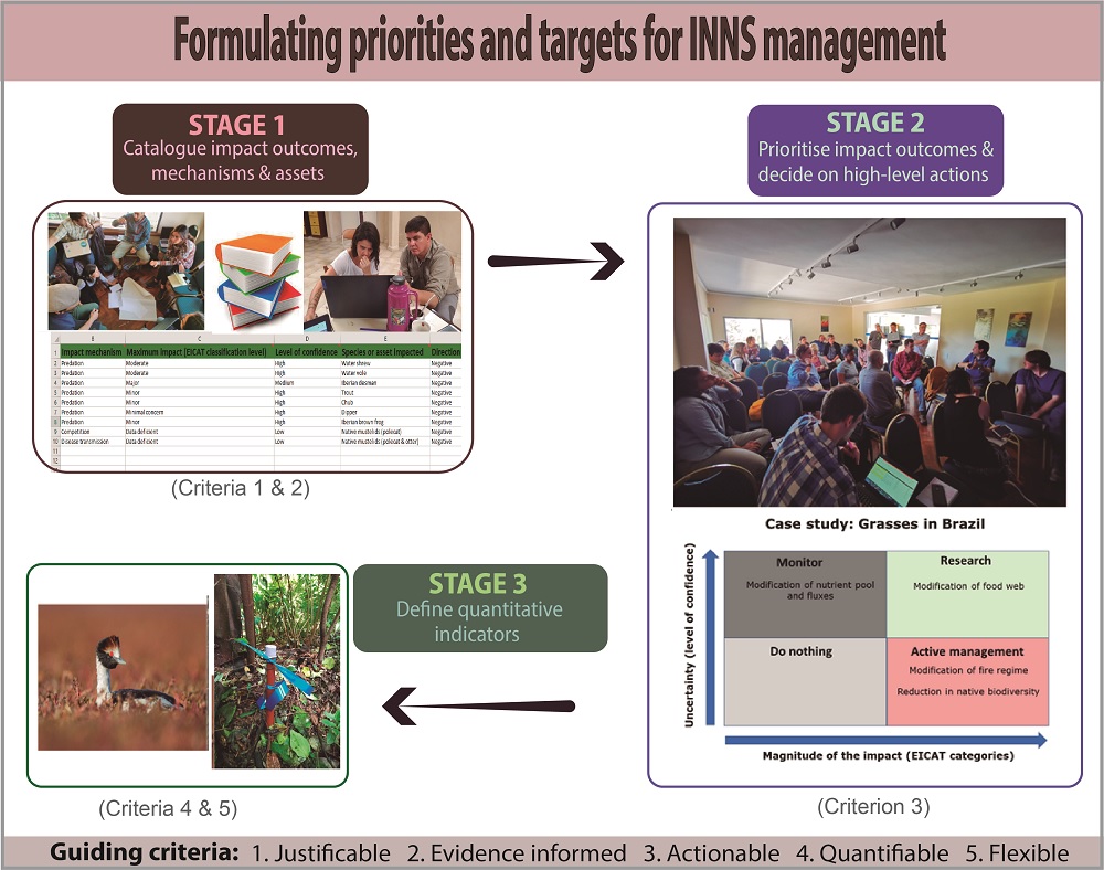 In this new article of the CONTAIN project <a href="/UkLatam/">CONTAIN LATAM-UK</a>
 we propose a methodology to establish priorities and objectives for the management of invasive species
<a href="/IERconicetunt/">Instituto de Ecología Regional</a> <a href="/ConicetNOASur/">sibella Porn SEx 🥀</a> <a href="/CONICETDialoga/">CONICET Dialoga</a>
 @AmbienteNacion @UntTuc
   doi.org/10.1007/s00267…