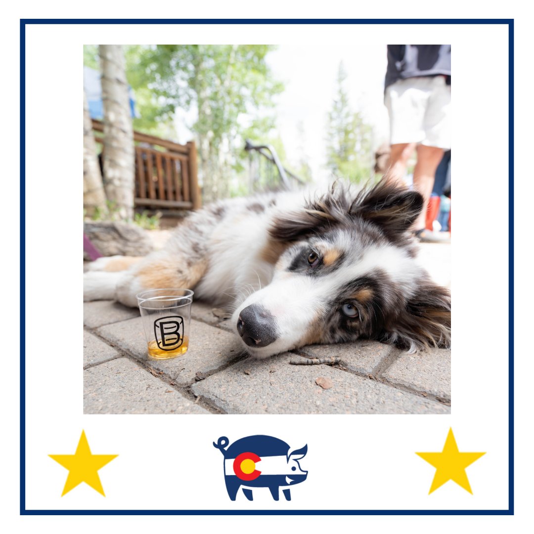 Keystone Festivals tweet media