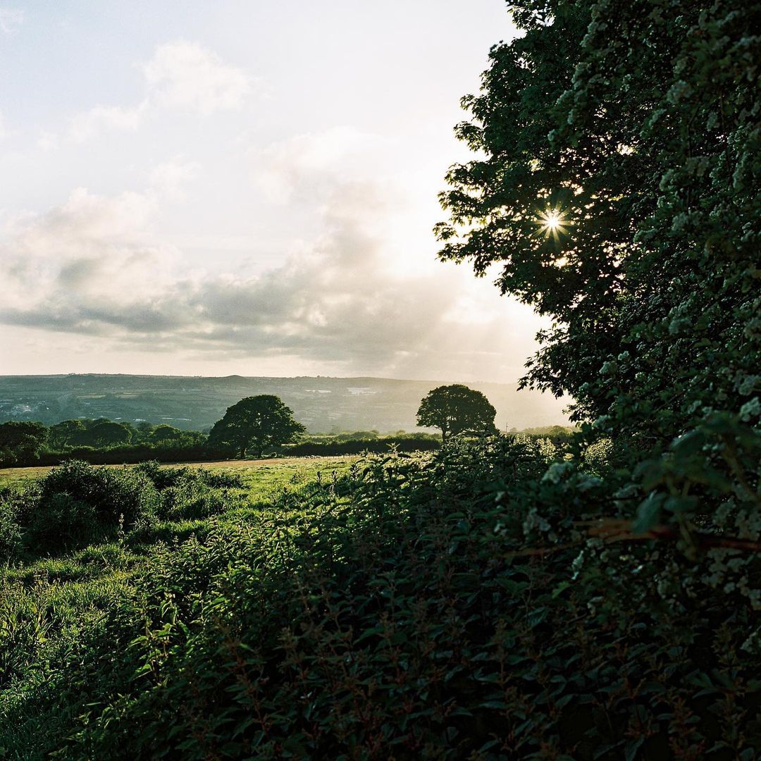 Take the first step. 
Then take another one. 
And see where they take you.