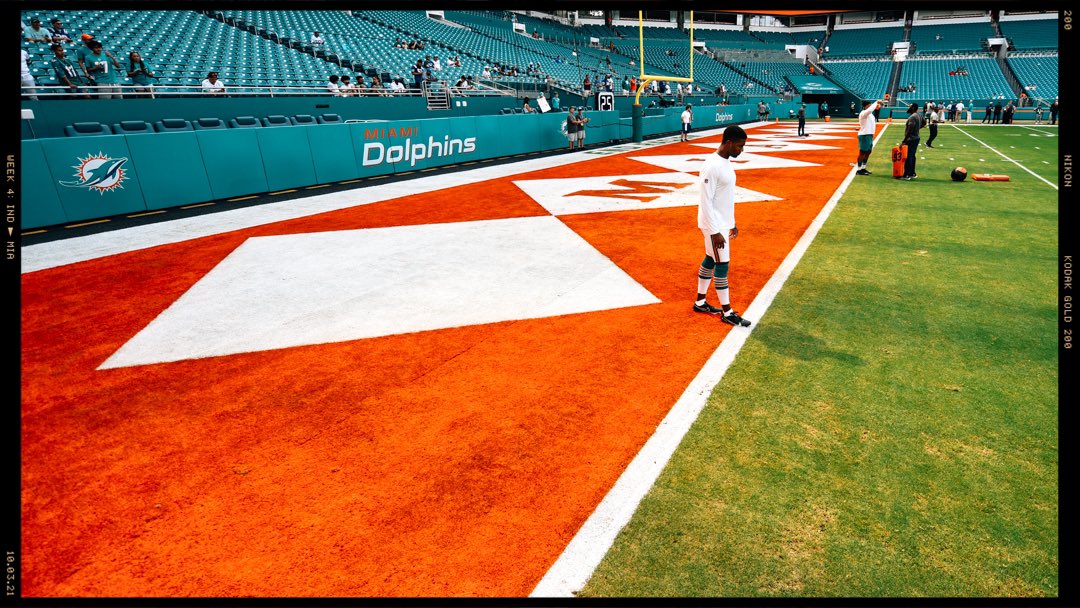 miami dolphins diamond turf