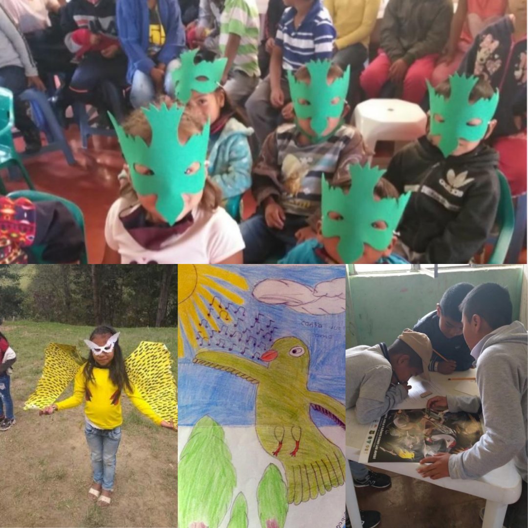 enviroamericas's tweet photo. Día Mundial de las Aves Migratorias en Colombia
Agradecemos a Patricia Pietro, quien visito la Escuela en la Montaña, ubicada en la Vereda La Laguna, del Municipio de Jámbalo, departamento del Cauca, Colombia.
#DMAM2021 #WMBD2021 #SingFlySoar #CantaVuelaElévate #LikeABird https://t.co/cNdmEKVUUW