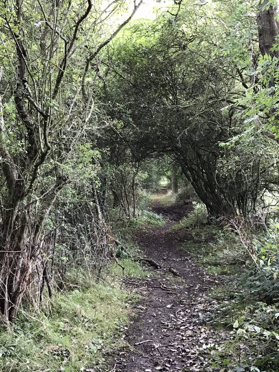 LoughtonMC's tweet photo. Great local walk today from Epping to Loughton. Ancient woodland, Roman Roads, Greenways, views across London, 3 motorway crossings and all weathers. #FindYourAdventure https://t.co/OAJgmgPkmD