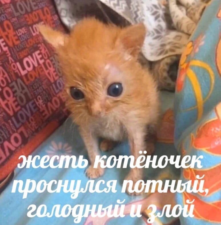 mazzarella_aaa's tweet photo. Курильщик каждое утро в четвертой: 
#домвкотором #двк #курильщик https://t.co/lLENIOPNfD
