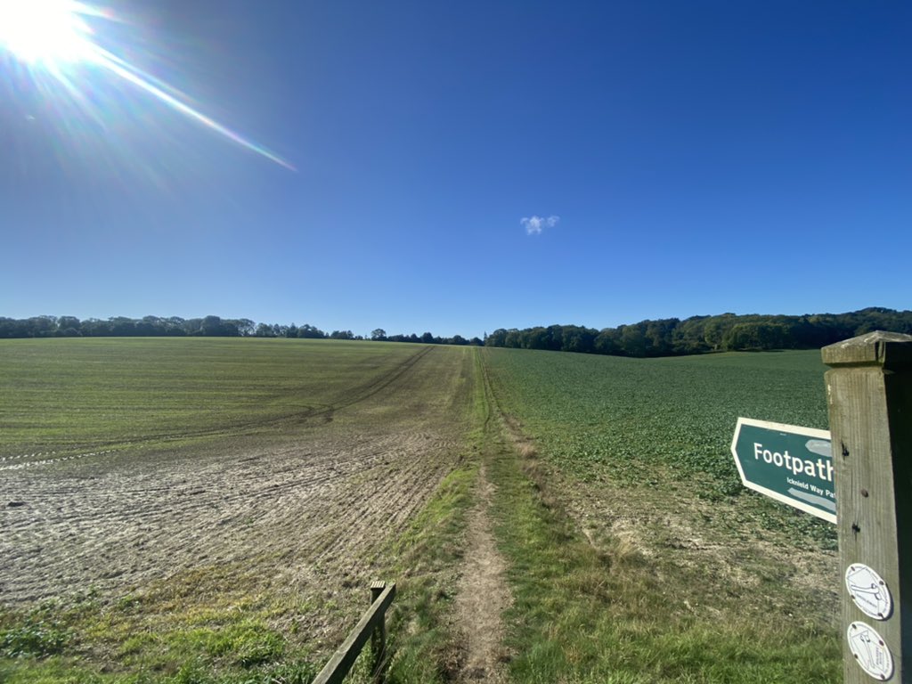 Amy Metcalfe tweet media