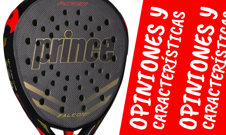 newpadel tweet media