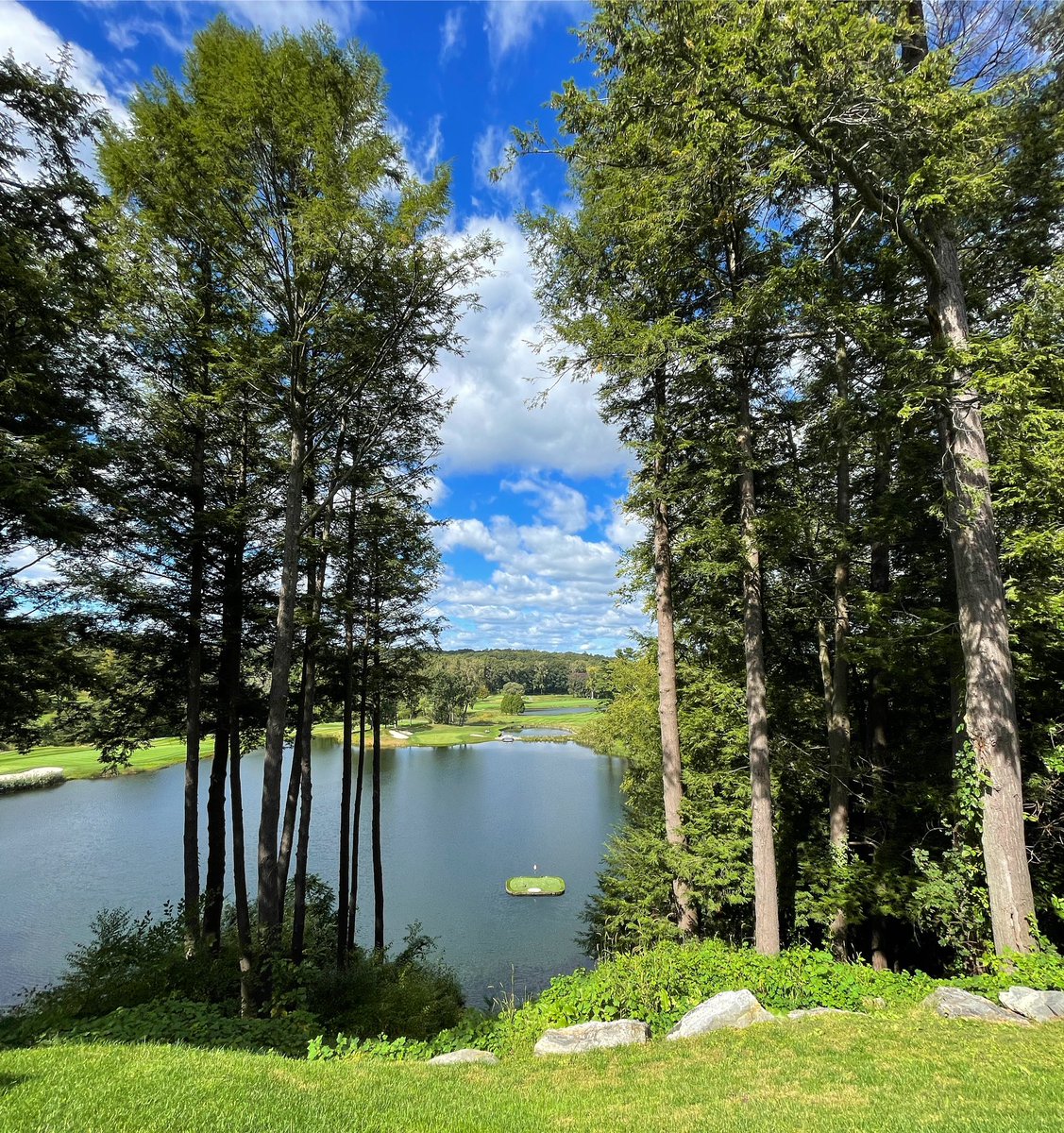 Matt Ginella tweet media