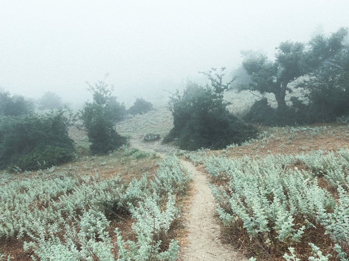 "Wanderer above the sea of fog" 
+Mini-series+
#1 Hic.art/386407  
[1/1] 20 tez

#2 Hic.art/386426  
[1/1] 20 tez

 #3 Hic.art/386513  
[1/1] 18 tez

#4 Hic.art/387679  
[5/5] 3.3 tez
#hicetnunc  @onhicetnunc <a href="/hicetnunc2000/">h2000.net</a>