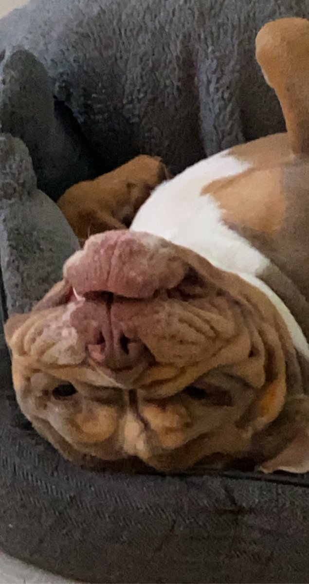 Debbie Patten 💜✌️ tweet media