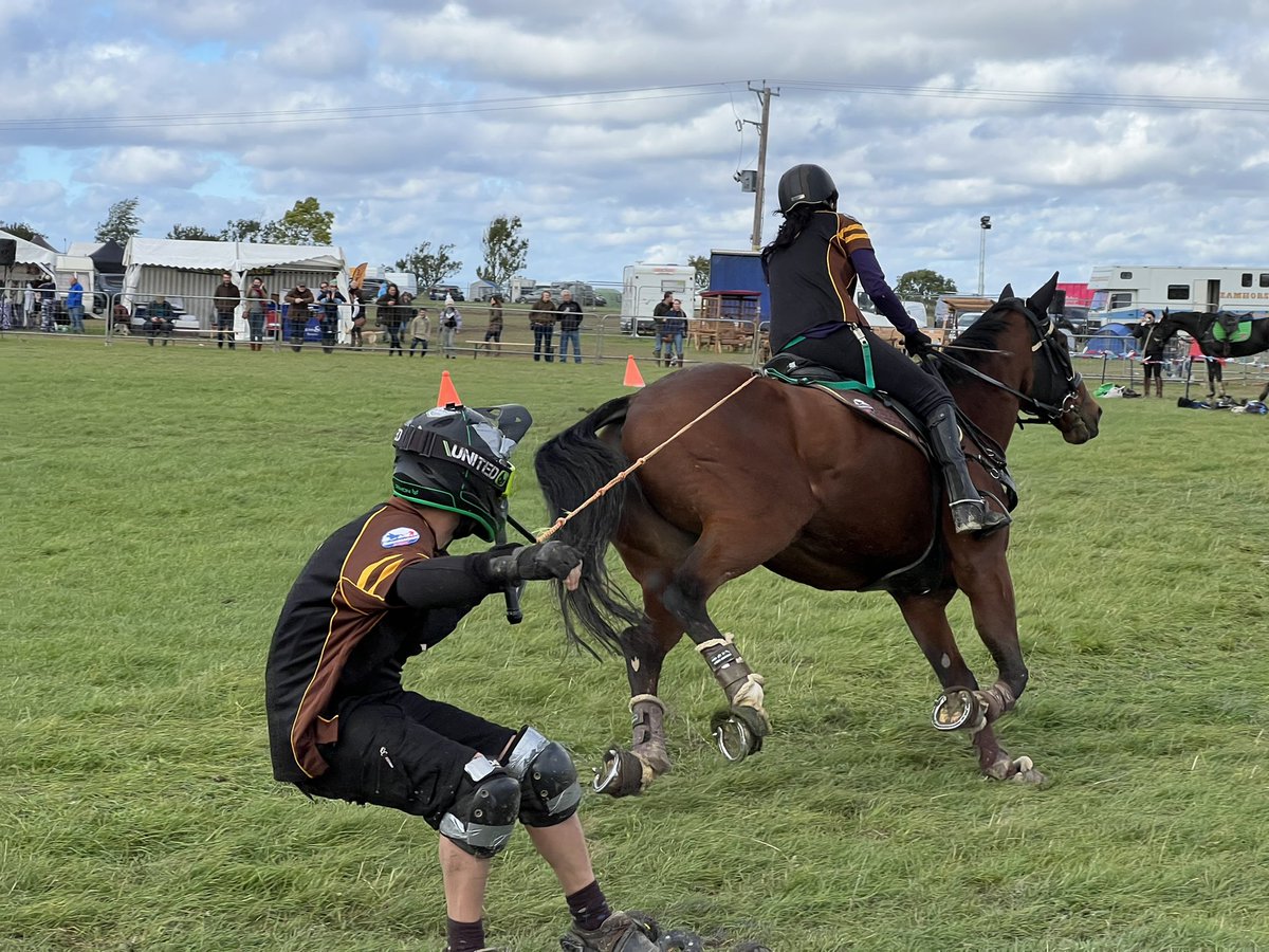 Amazing to see for the first time. #horseboardinguk