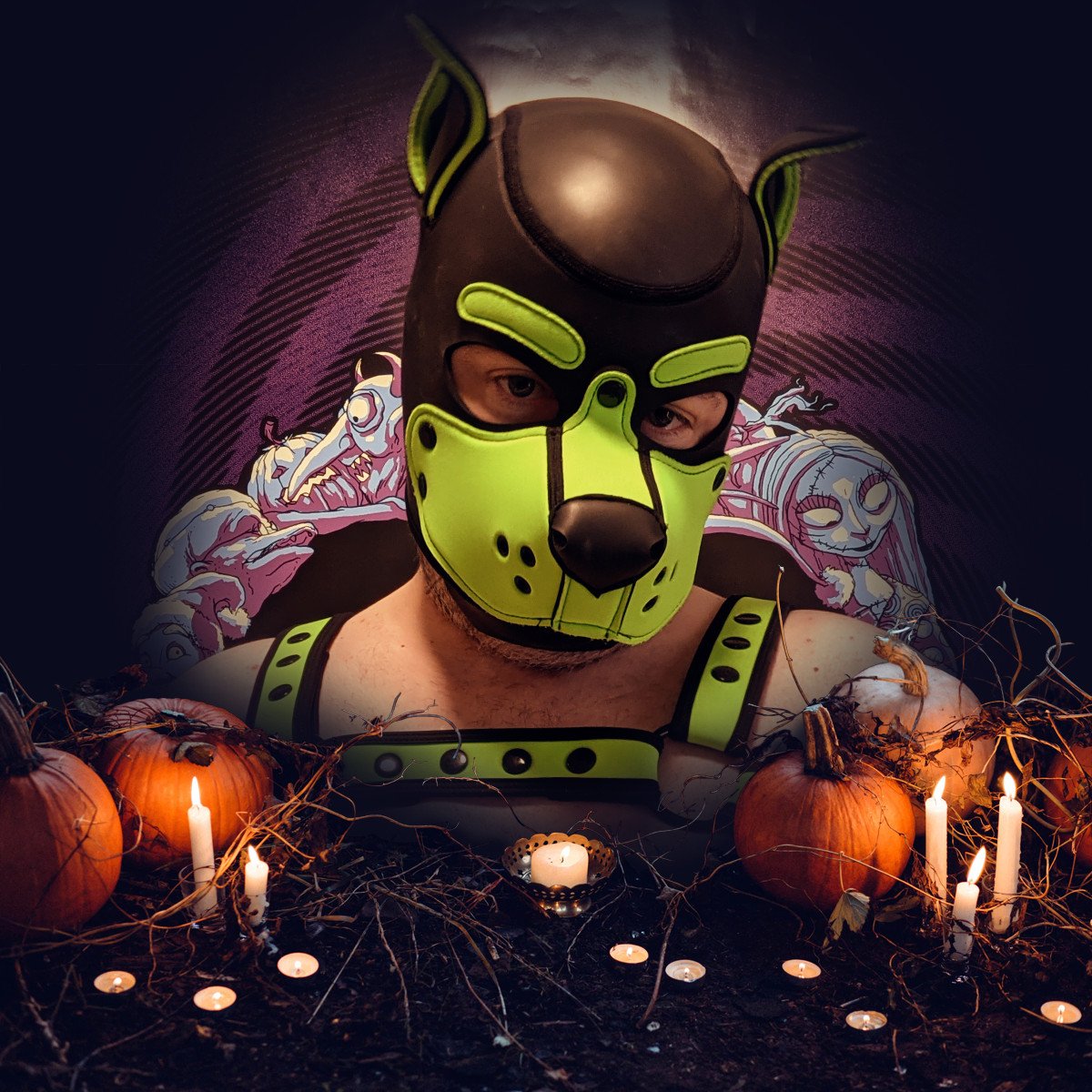 PupSpot4's tweet photo. 🎃🐾🎃 https://t.co/ykJMwhb01N
