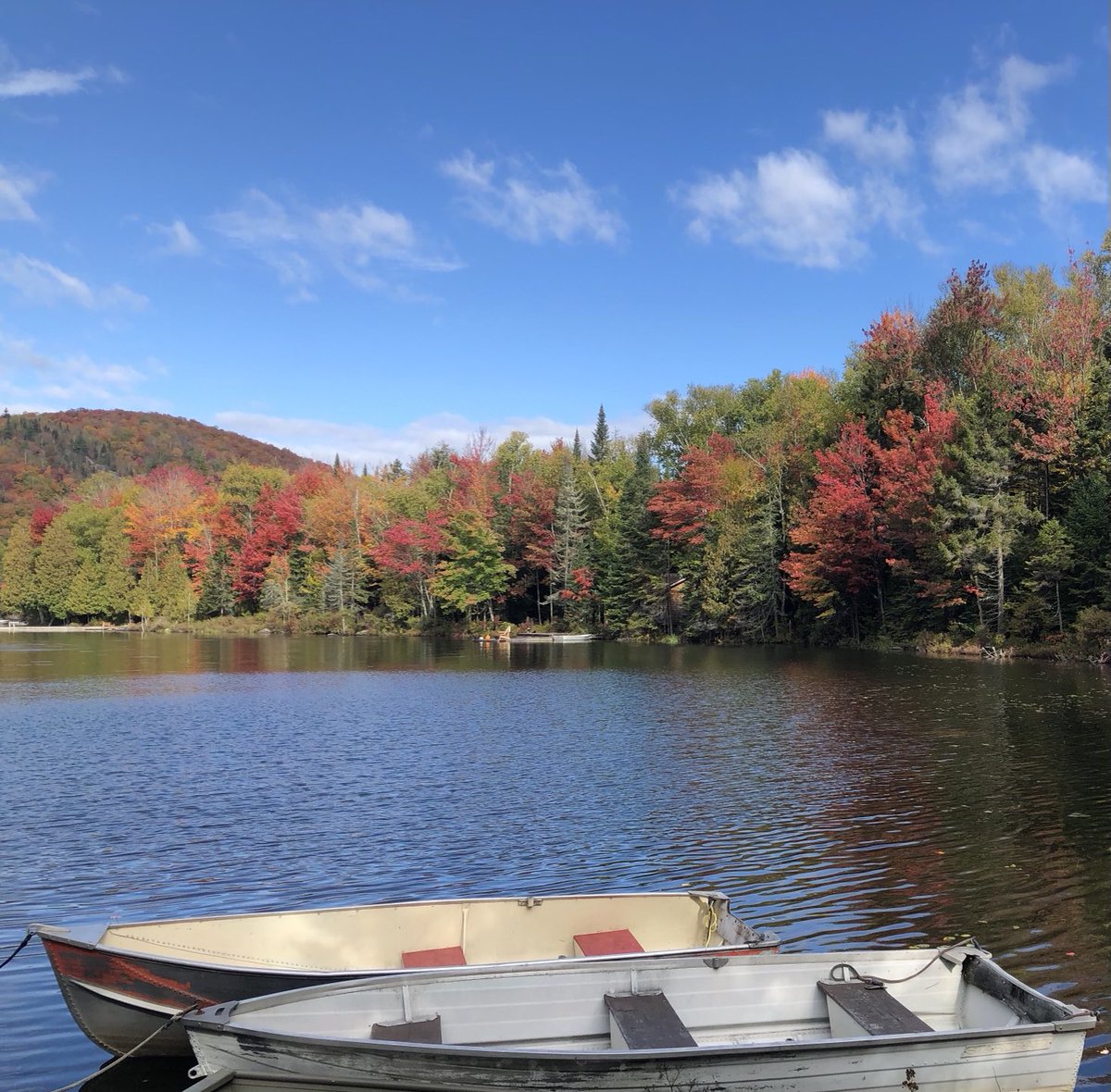1969_Joel's tweet photo. #Fall colours #LacProctor https://t.co/zVlpnolTf7