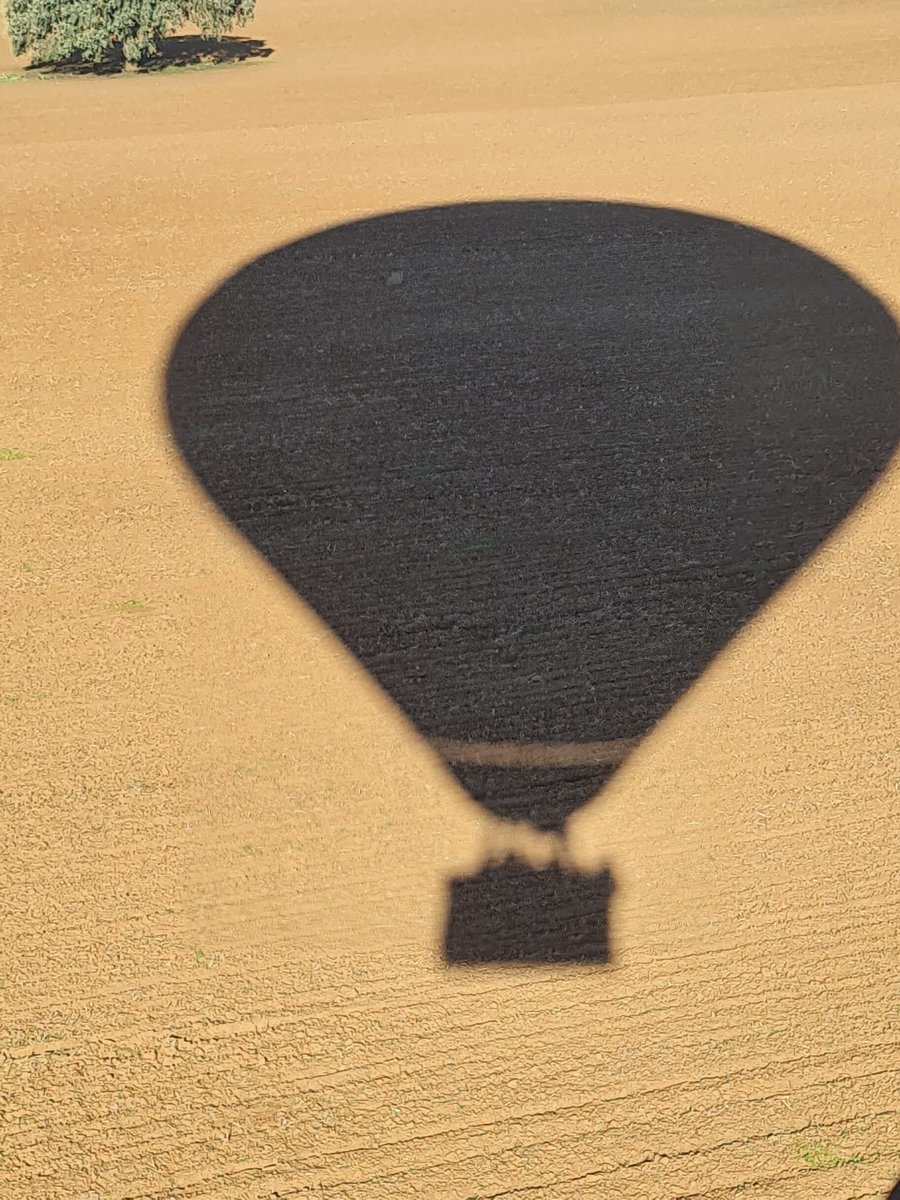 Up Alentejo tweet media