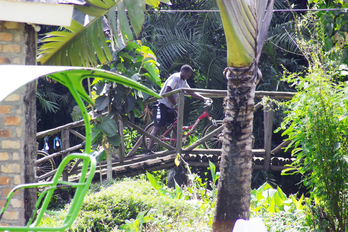 kanosug's tweet photo. Among the games played are:
Bicycle riding through the jungle which is so tactical and needs skills to emerge as a winner.
#KANOsJungleRumble https://t.co/fv1TgoejvK