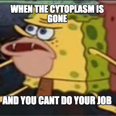 mayorcytoplasm's tweet photo. 👀👀 #CellvilleAllen2021 #Themainorganellesaresupportedbyandsuspendedinthecytoplasm https://t.co/vNqCTyM3KY