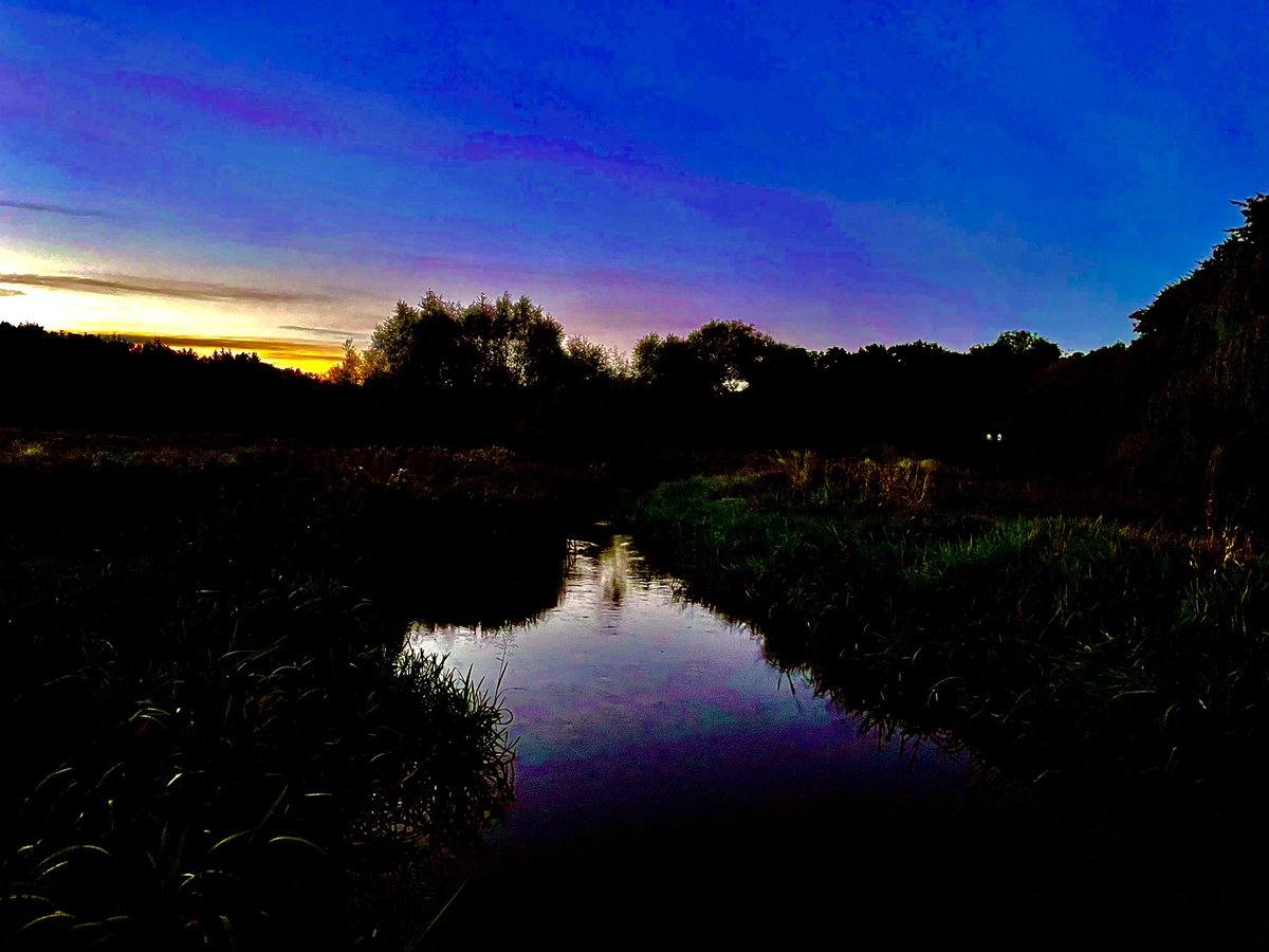 Last glimmer of daylight!
.
.
.
#sundayvibes #wildlifephotography 
#Autumn #autumncolor #sunset #AutumnHarvest #fall #goodbyeSummer #SummerVibes #Autumnvibes #naturelovers #NaturePhotography #nature #gardening #nature #homesforsale  #GardeningTwitter #English