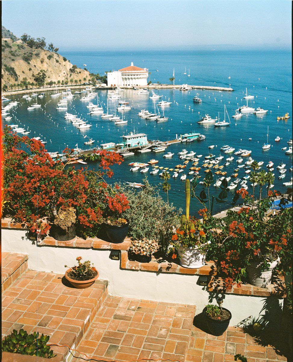 linusnhiscamera's tweet photo. catalina island on medium format film 🎞✨ https://t.co/P5JeYbBQDr