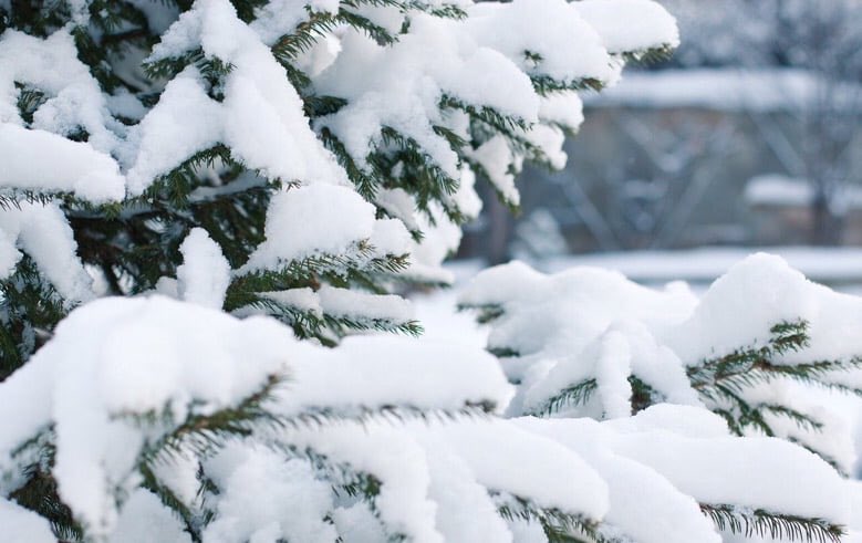 WOUDRICHEM AGENDA 21-12: Save the date voor de Grote Woerkumse Winterfair

 altena.net/agenda/grote-w…