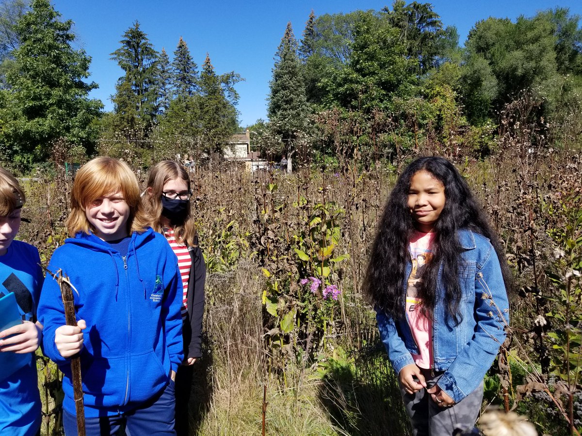 LeaSevigny's tweet photo. In the last 10 days, students @CMS_FHPS tagged and released their last (25th) monarch, learned about monarchs' migration needs/hazards, assessed our campus for nectar plants monarchs (&amp; other pollinators) can use, &amp; gave input for land management on behalf of monarchs. https://t.co/VABmBt7JmI