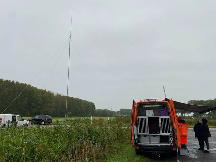 *𝙂𝙧𝙤𝙤𝙩𝙨𝙘𝙝𝙖𝙡𝙞𝙜𝙚 𝙯𝙤𝙚𝙠𝙖𝙘𝙩𝙞𝙚 𝙩𝙚 𝙍𝙝𝙤𝙤𝙣*
De SRO heeft met 29 honden en 52 mensen gezocht in groot bebost gebied, w.o. 3 honden en 4 mensen van RWO. Gezocht naar een 52 jarige man die sinds 1 september jl. vermist is.
Helaas de vermiste man niet gevonden.