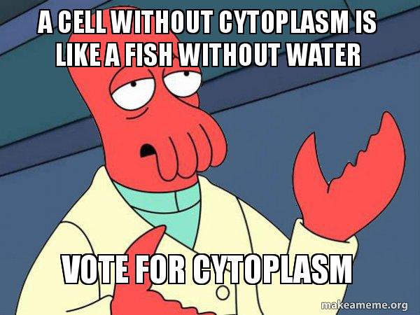 mayorcytoplasm's tweet photo. Get it?😁 Cause fish cannot survive without water😁 as cells cannot survive without Cytoplasm.😁 Couldn’t have put it better myself. #CellvilleAllen2021 #Cytoplasmformayor https://t.co/KFCVS3jygR