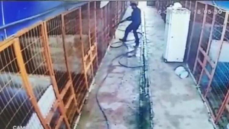 AV SİLAHLARININ, 6136,2521 ve TCK 5237 say. kanunlarla Merk. Av Kom. kararnamesince belirlenmiş yer ve süre dışında SERBESTÇE TAŞINMASI, KULLANILMASINA yönelik işlem başlatılıp, avcılık tezkeresinin bir daha verilmemek üzere İPTALİ+
<a href="/TcTuzla/">Tuzla Kaymakamlığı</a> @AliAkca <a href="/TC_icisleri/">T.C. İçişleri Bakanlığı</a> <a href="/milliparklar/">Milli Parklar</a>