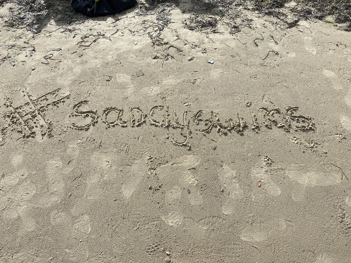 SandySwims1965's tweet photo. I was lucky enough to swim twice this weekend! 

Today I was at Studland South Beach and several other ladies were swimming. No men though! 

#octoberswim #sandyswims #beachlife #wildswim #wildswimming #Dorset https://t.co/2q3O5c5FbQ