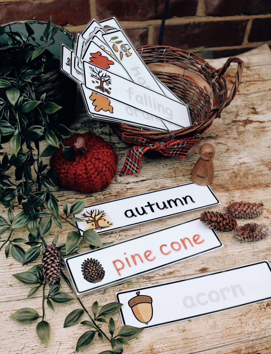 🍂 Autumn is here, and so are my autumn resources! 🍂 

Check out the different bundles on my website.

#autumnplay #autumnplayideas #autumnplayalong #earlyyearseducation #earlyyearsideas #earlyyears #earlyyearslearning #earlyyearsteacher #earlyyearsplay #earlyyearsoutdoors