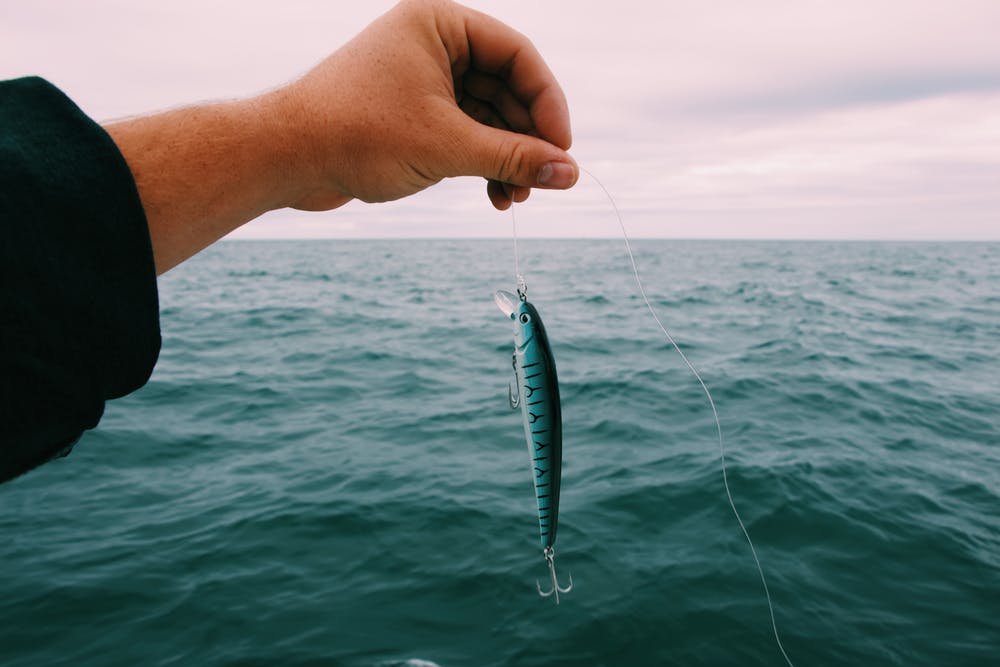 CapDonMcPherson's tweet photo. There is alot can happen in a half a day! Take it from us here at Getaway Charters. Text us at 251-752-0235 for more details. https://t.co/Bt2xkJwjWd