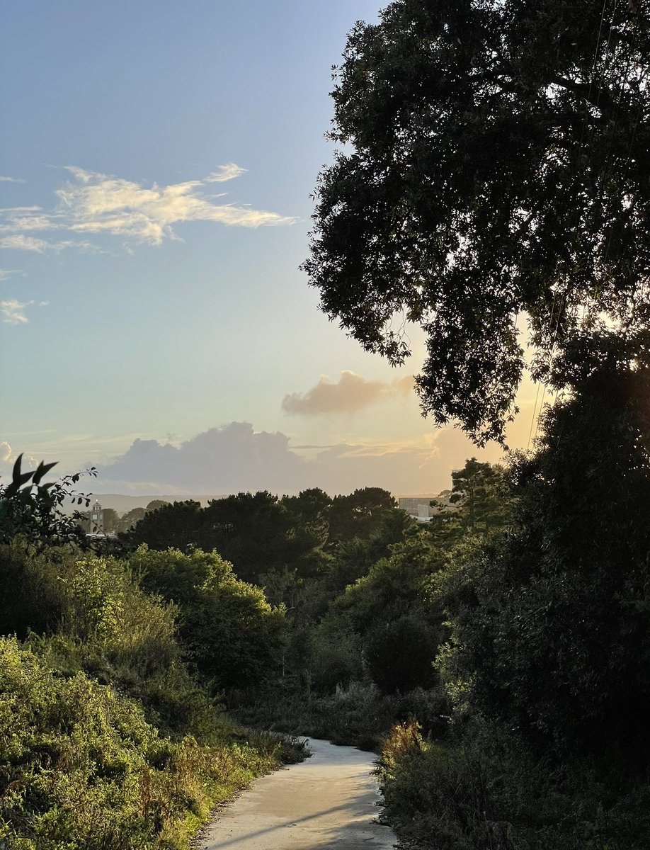 Zoe Flood tweet media